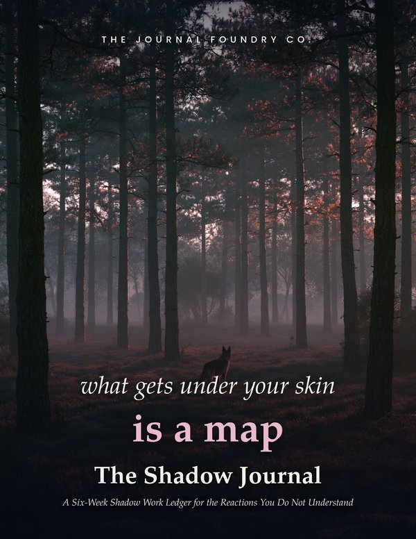 The Shadow Journal cover